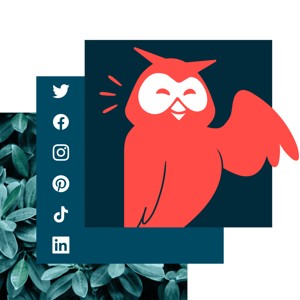 Imagem do banner do Owly