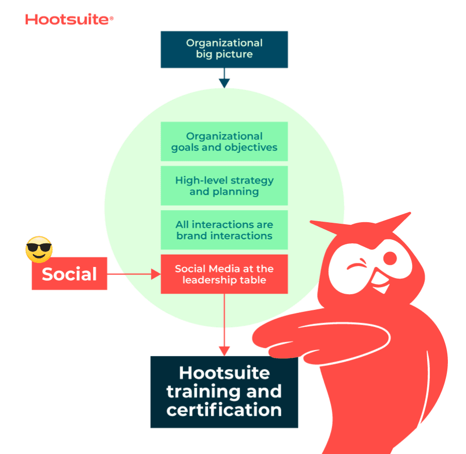 Owly next to organizational big picture flowchart