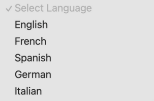 A dropdown menu showing all the language options